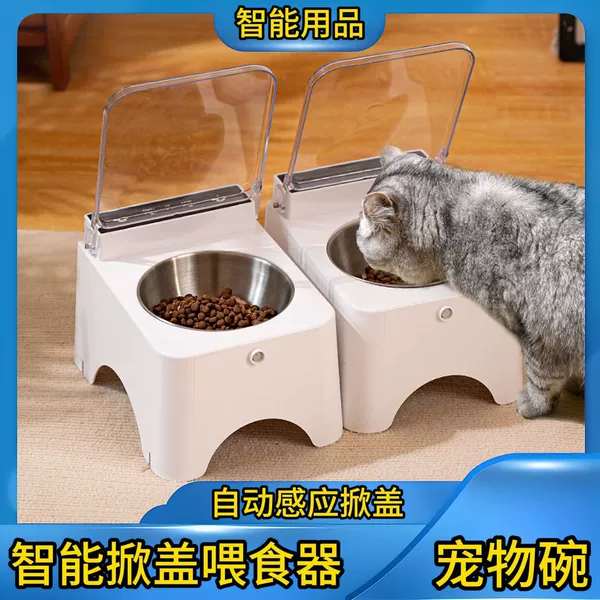 Stainless Steel Cat Bowl✷☽☽
