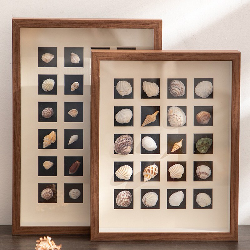 Shell Picture Frame Hollow Photo Frame 3cm Handmade DIY Homemade Gift Stereo Palace Grids Specimen Storage Photo Frame Wall Hanging