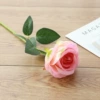 Bent velvet rose-champagne color