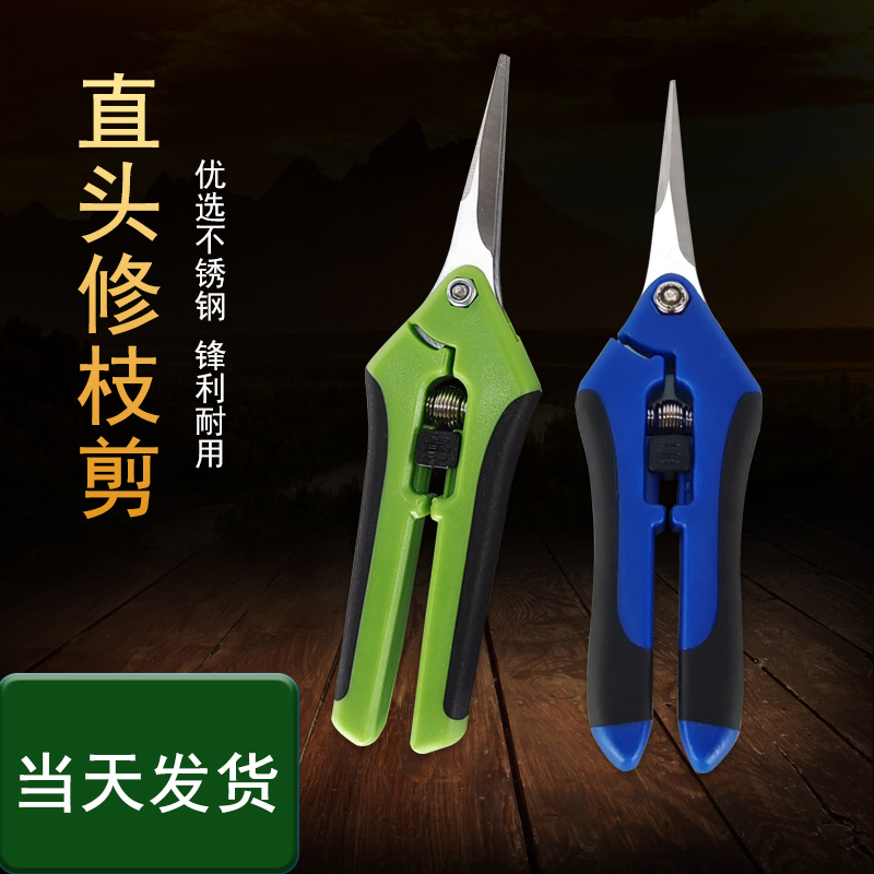 园艺专用剪刀 水果葡萄采摘不锈钢剪刀 果树修枝剪直头稀果剪