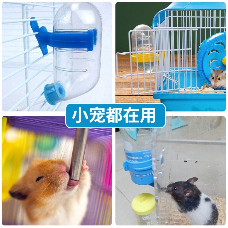 Hámster de conejillo de indias bebiendo agua de oso de oro