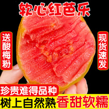 ����ܛŴ�t�İŘ�5�����rˮ����ʯ�����ܛŴ��֬�t�͘�������]3