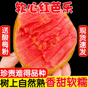 ����ܛŴ�t�İŘ�5�����rˮ����ʯ�����ܛŴ��֬�t�͘�������]3