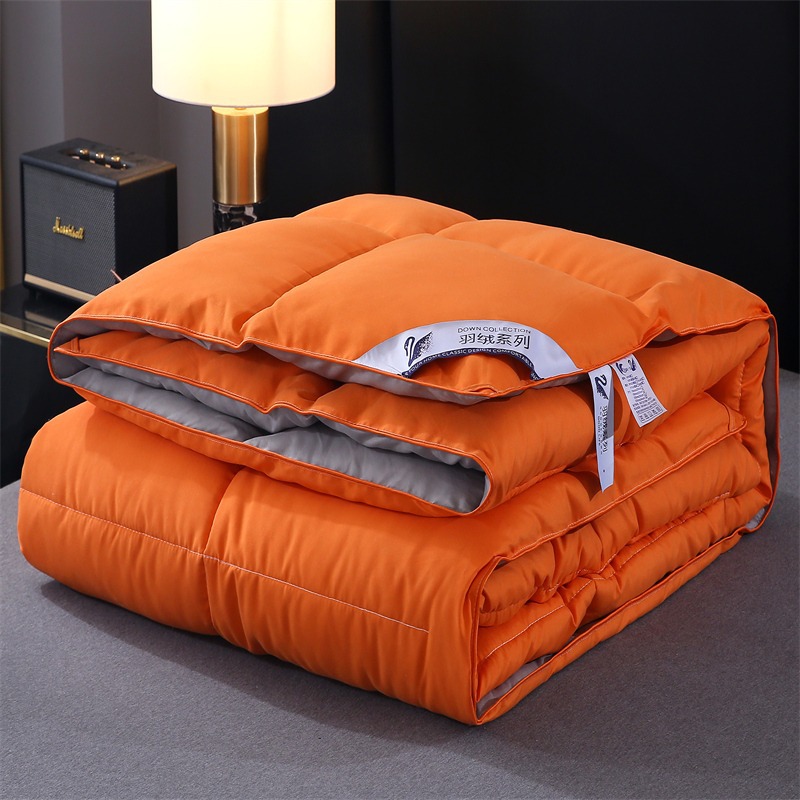 2025 New Solid Color Feather Velvet Winter Quilt Core Thickeneded Warm Double Feather Silk Quilt Spring & Fall Quilt Double