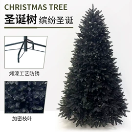 圣诞树;圣诞装饰品