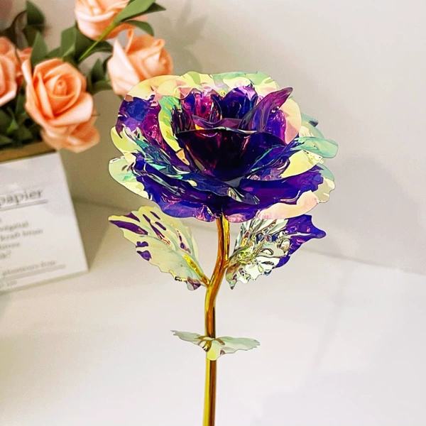 Rose-Colorful Purple