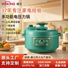 电饭煲/锅;电热水壶;电火锅