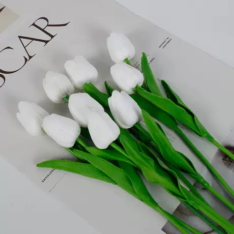 Pure White