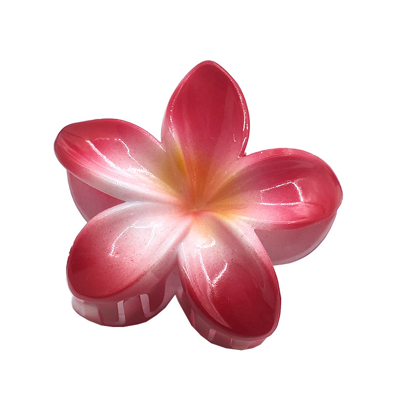 国境を越えたアマゾンの卵の花がグラデーションの花のキャンディー色の紫荊花の後頭部をつかんでサメの花を挟んで髪を伸ばします。|undefined
