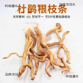 造景木枝杜鹃根枝条摆件景树根巴西树枝生命之树洞景观缸用麦太保