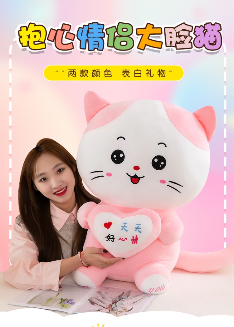 抱心情侣大脸猫 (1).jpg