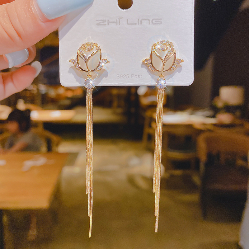 54D7973A713B1D30E3948303D06780