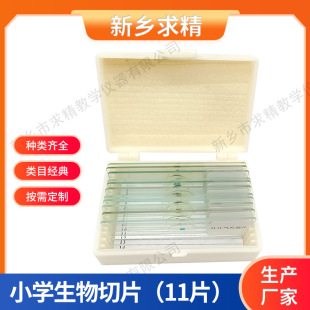 11 primary school biological slices suit glass microscope specimen slices various specifications factory wholesale