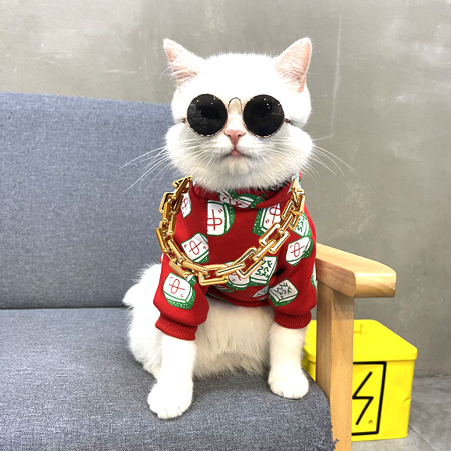 Joyería transfronteriza para mascotas collar de oro para mascotas productos de plástico Foto cadena de oro gato perro universal embalaje OPP