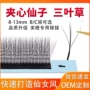 夹心嫁接新款自然睫毛