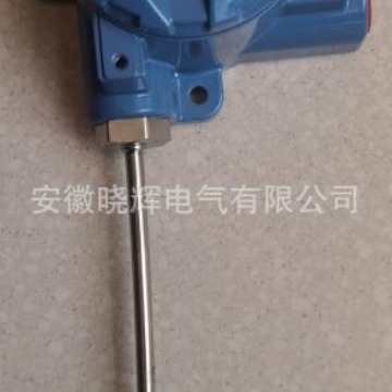 WWZ-28B壁挂式热电阻