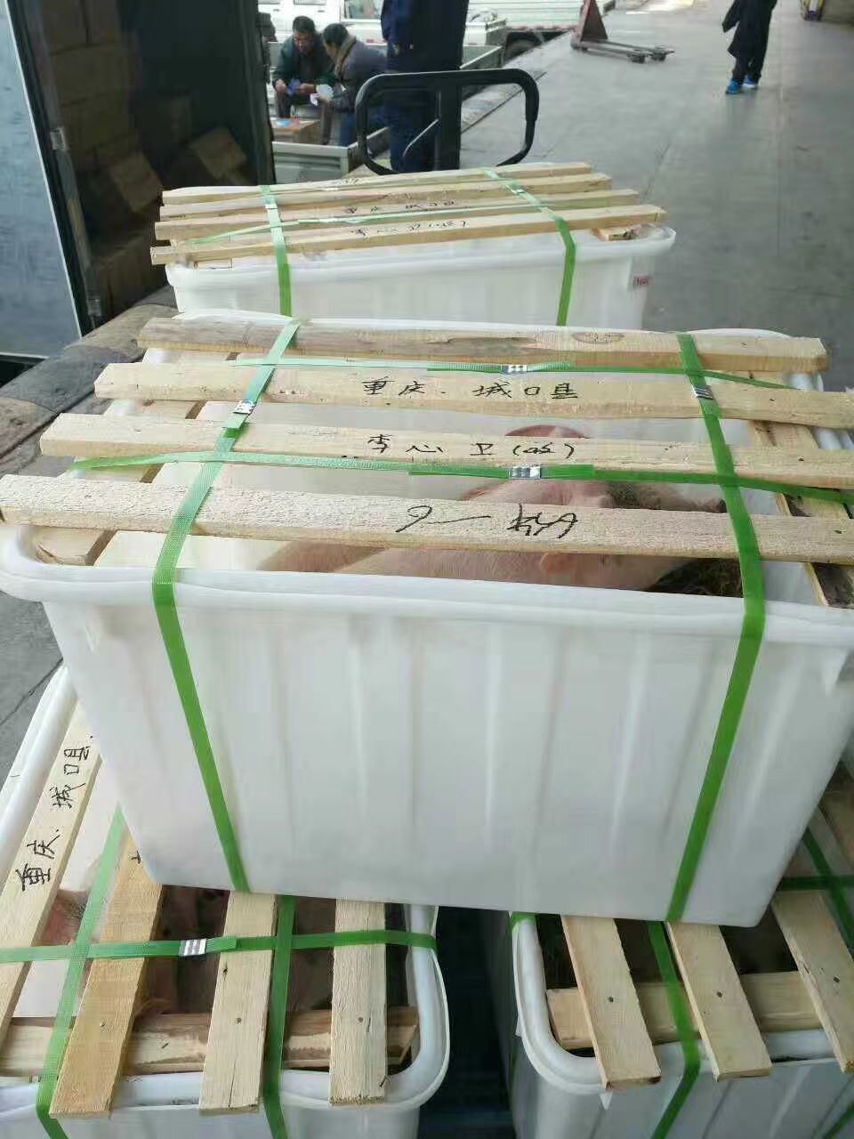 一键复制_20230315093123