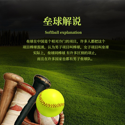 标准12寸垒球职业中学棒球软硬实心儿童用棒球训练打棒球的球类|ms