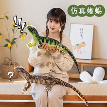 �羳�������湫�Ѓɗ�����ſ�˄���ë�q��ߐ������M�������_��