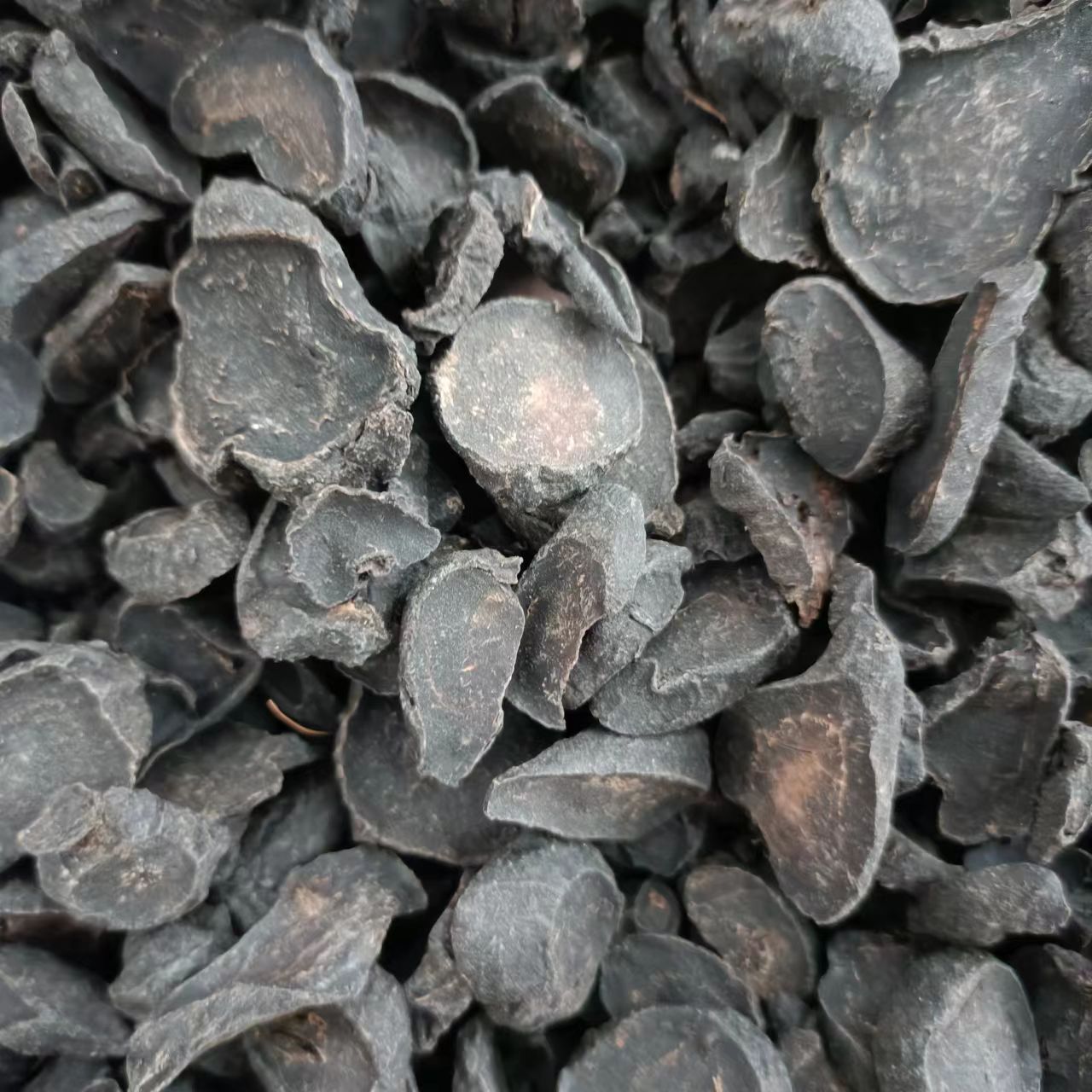 8640b3b5f86bb8b5a62a38a6ee2a10