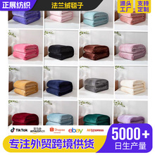 外贸加厚纯色法兰绒300G毛毯跨境珊瑚绒午睡沙发盖毯床单礼品毯子
