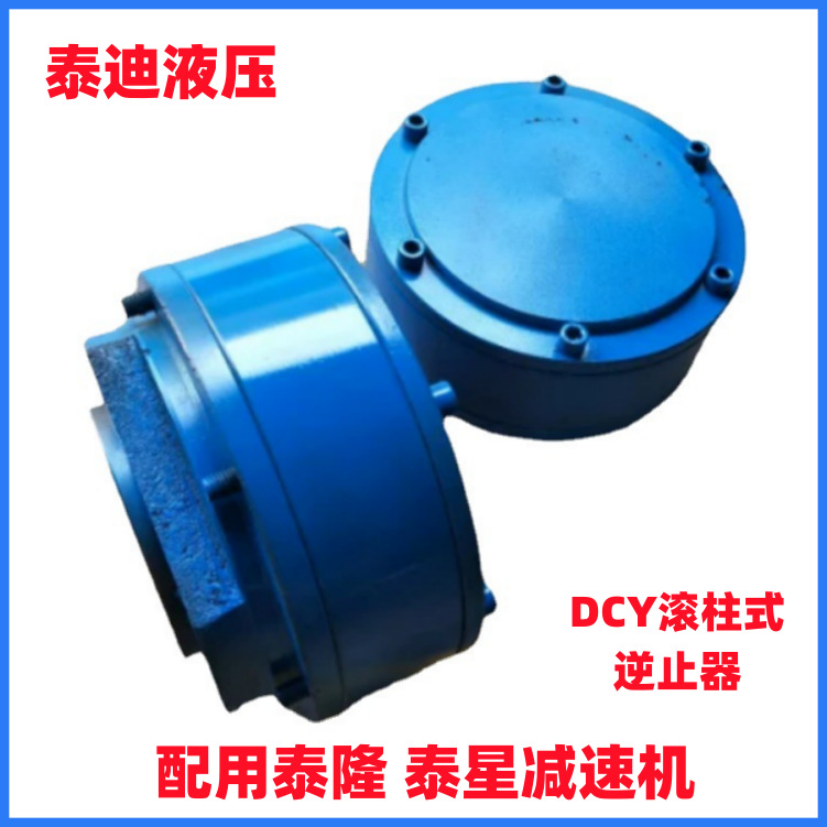 DCY500 DCY560滚柱式逆止器 配用泰隆 泰星减速机