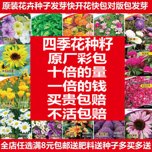 ԭ�S�ʰ����N�����l���۳��ڌW���Nֲ���b���տ��ļ��׻���ղ�