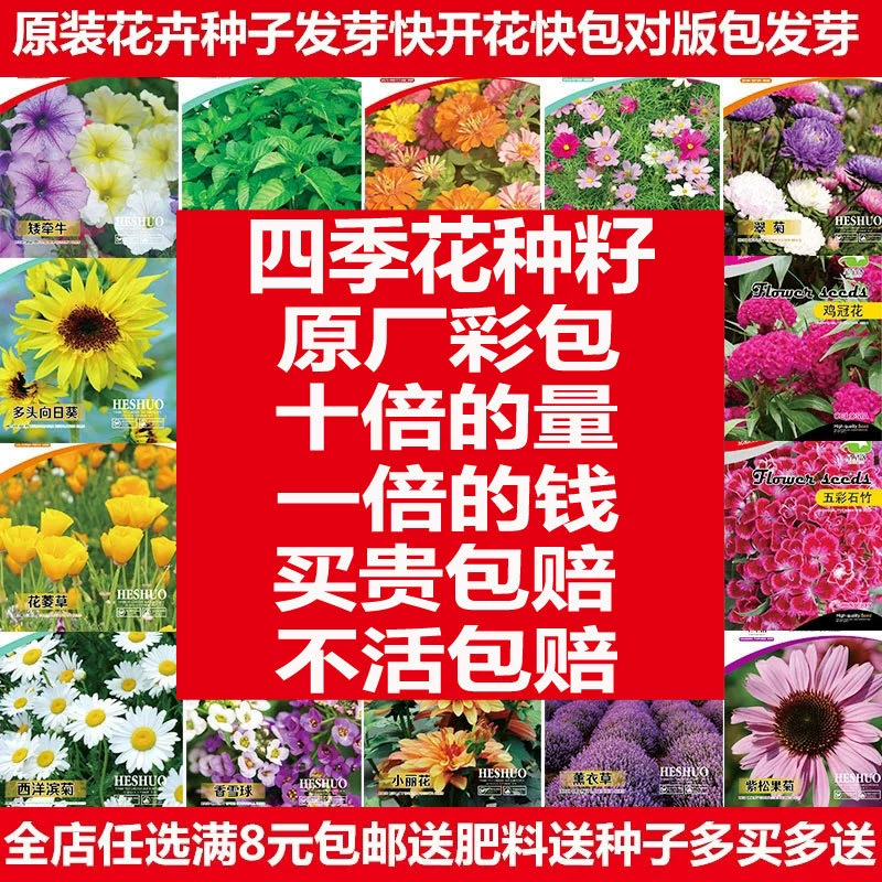 Оригинальная цветная сумка семена цветов оптом и в розницу экспорт студенческий посадочный набор подсолнечника Four Seasons легко жить Цинния