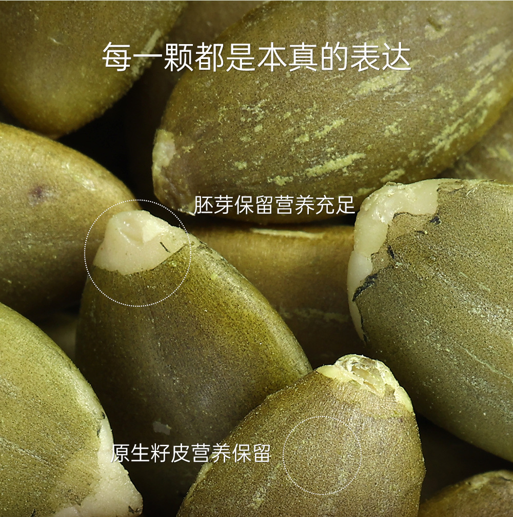 Roasted Pumpkin Seed Kernels Original Flavor Ready to Eat Snack 380g quality and texture
