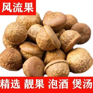 �L�����V���L�����������������ɐ���i������ݾ��Ҝ��ݾ���