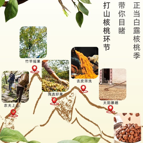 Lin'an specialty hand-peeled pecan kernels wholesale small walnut meat canned original snacks for pregnant women nut food