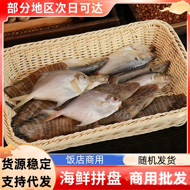 海杂鱼新鲜海鱼大杂烩海鲜拼盘随机发货深海鱼冷冻鲳鱼商用批发