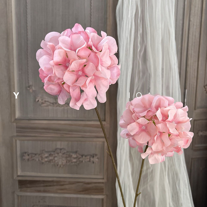 수국 2개 - 연분홍