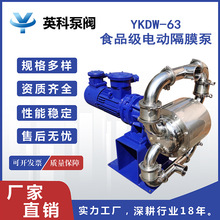 英科牌衛生級304不銹鋼防爆變頻葯液 食品級電動隔膜泵YKDW-63PF