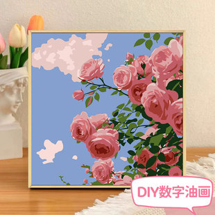 �{���Nޱdiy�����ͮ����L��ɫ�Nޱ���@�L��������ϩ����b��ͮ�