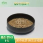 符合植物新国标桑叶浓缩粉