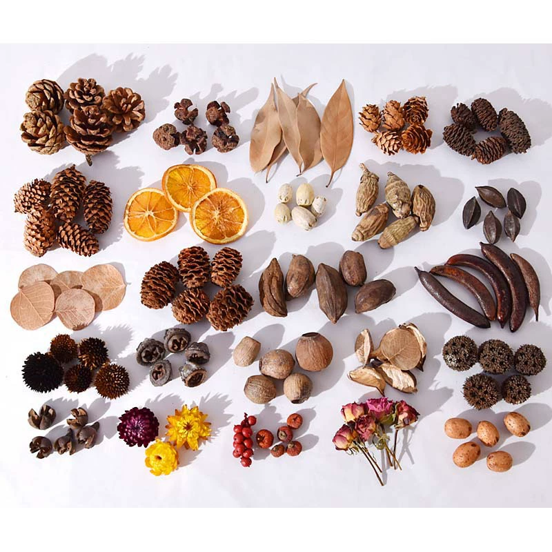 Натуральный фруктовый образец, фоторамка, рождественский венок, ручная работа, сухоцветы и сухофрукты, украшение для детского сада, комплект материалов для смешивания и сочетания