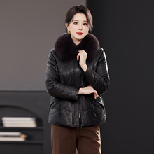 �����¿���Ƥ��q��Ů�̿����ëС������Ƥ���e�n�����׺���ë�I