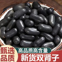 双肾子中药材风流果阴阳子牛大力巴戟天石莲子男性硬三宝泡酒料
