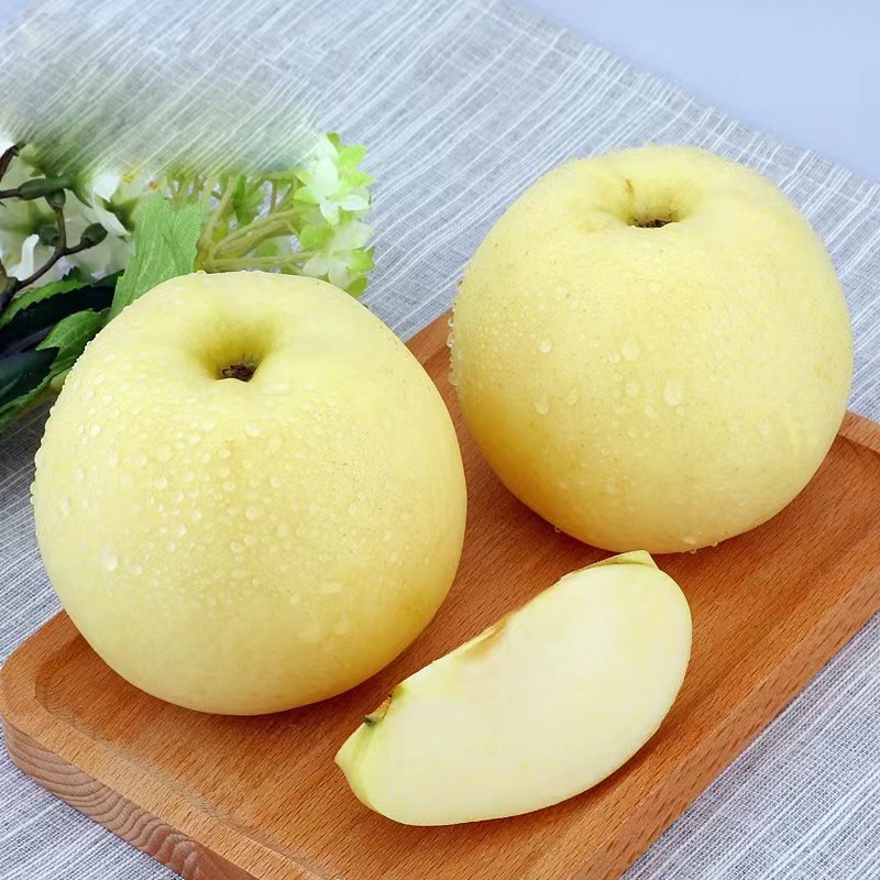 微信图片_202206011540012