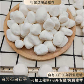 白色小石子米石厂家批发园林景观工程造景装饰用景观石石头混凝土