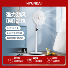 韩国HYUNDAI/现代家用电风扇遥控落地扇小型工业风扇批发遥控智能
