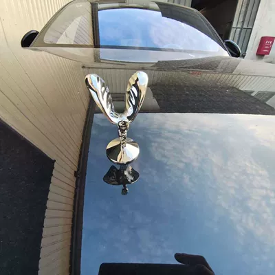 Little Golden Car Logo Modification, Car Car logo - silver