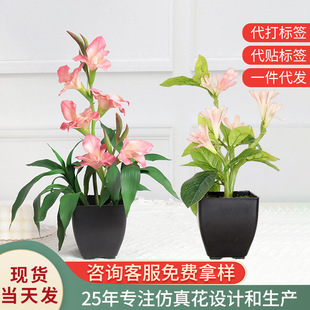 �����m���滨PU���m�������Ƶ�����ʽ�b���͏d�bٻ����l