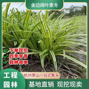 ��������ľ����߅��~�����ݾG�����������޸��@ˇ