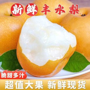 ���ڱ����Sˮ���SƤ����Ƥ���o�����rˮ���Xɽ�����l