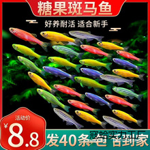 С���~�Ꭷ�~�^�p�~�����Lβ�~��ȸ�~�t�G�����~���~��ˮ���B