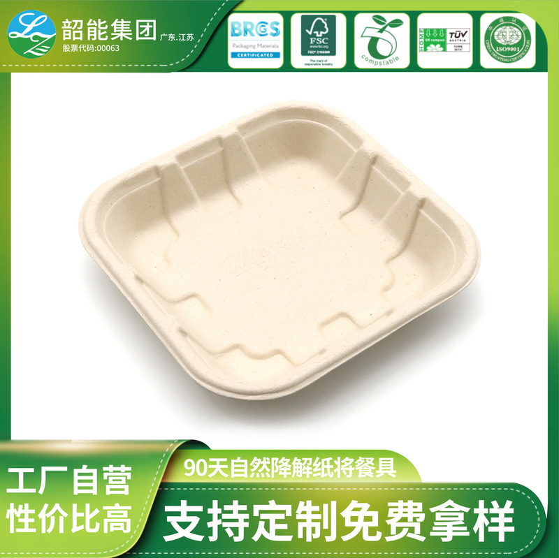 Customized Disposable Paper Pulp Tray with Lid Can Be Customized with Logo Disposable Fruit and Vegetable Tray