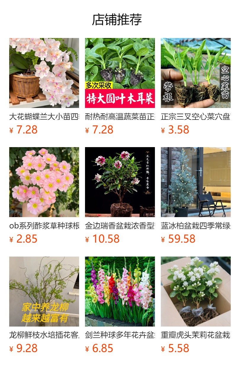 详情图