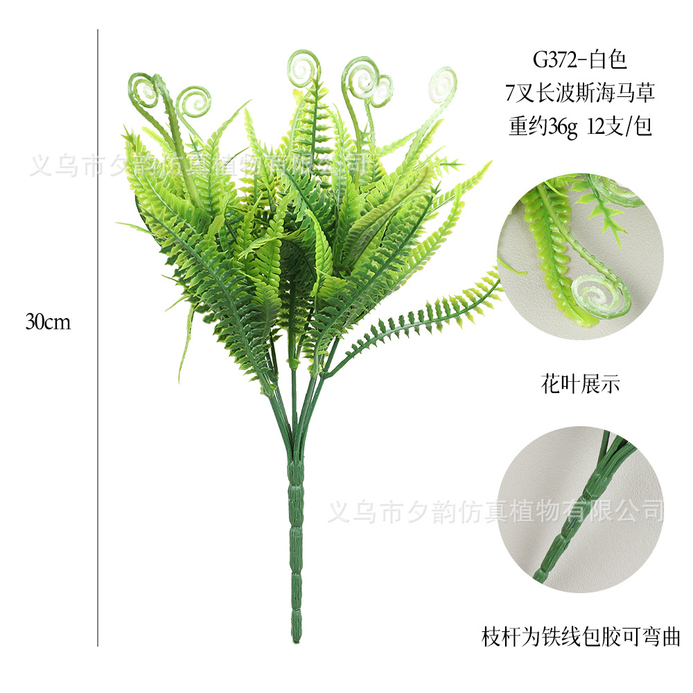 G372-흰색 7갈래 해마풀